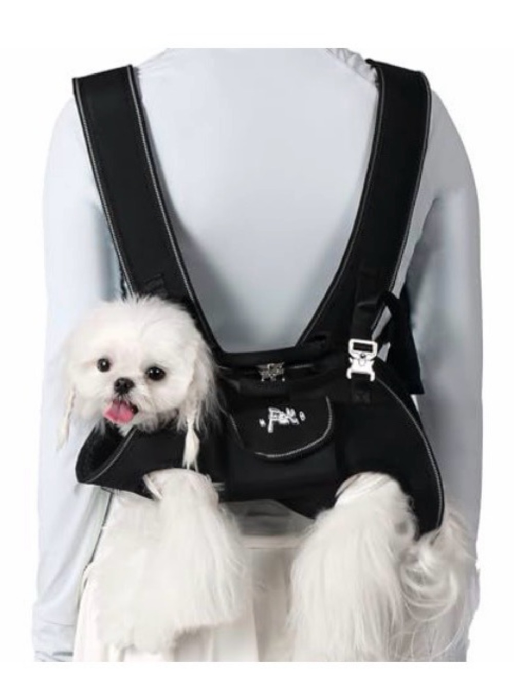 Small Pet Carrier Backpack